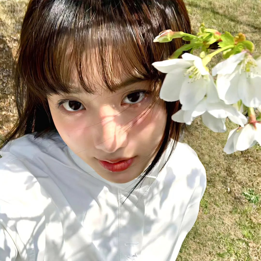 摔角选手 海报