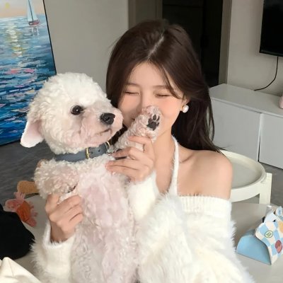 伯纳德特的真实本质 海报